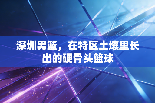 深圳男篮,在特区土壤里长出的硬骨头篮球 深圳男篮,在特区土壤里长出的硬骨头篮球
