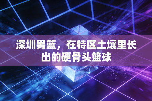 深圳男篮，在特区土壤里长出的硬骨头篮球