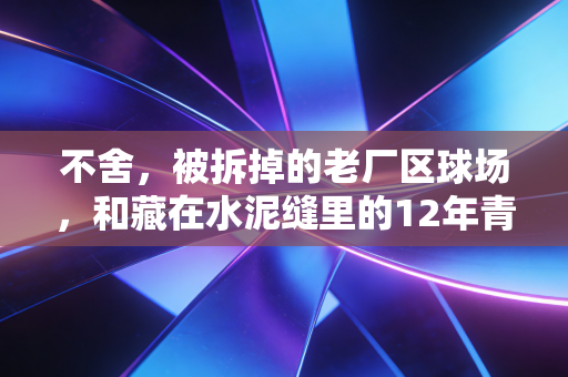 不舍，被拆掉的老厂区球场，和藏在水泥缝里的12年青春