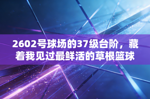 2602号球场的37级台阶，藏着我见过最鲜活的草根篮球魂