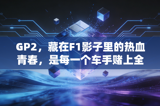 GP2，藏在F1影子里的热血青春，是每一个车手赌上全部的晋级门票