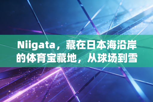 Niigata，藏在日本海沿岸的体育宝藏地，从球场到雪场的热血与温柔