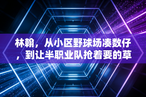 林翰，从小区野球场凑数仔，到让半职业队抢着要的草根球王