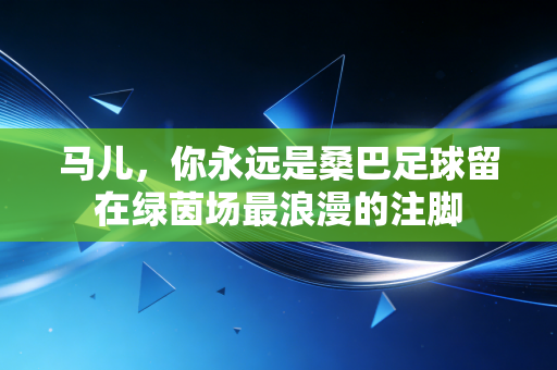 马儿,你永远是桑巴足球留在绿茵场最浪漫的注脚 马儿,你永远是桑巴足球留在绿茵场最浪漫的注脚