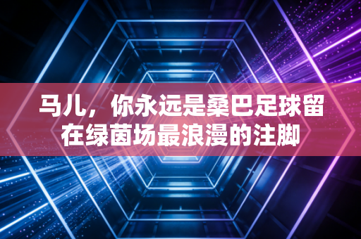 马儿,你永远是桑巴足球留在绿茵场最浪漫的注脚 马儿,你永远是桑巴足球留在绿茵场最浪漫的注脚