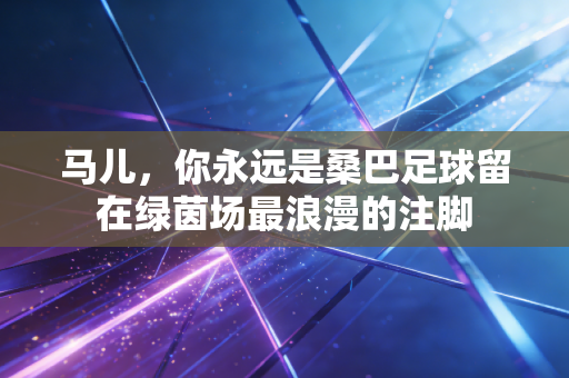 马儿，你永远是桑巴足球留在绿茵场最浪漫的注脚