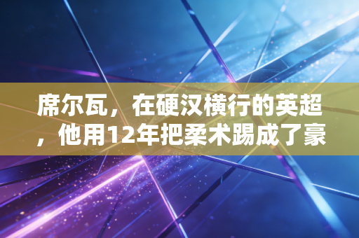 席尔瓦，在硬汉横行的英超，他用12年把柔术踢成了豪门信仰