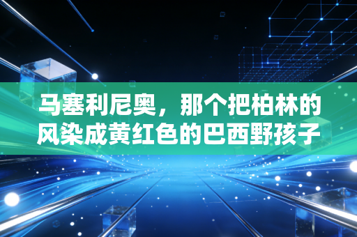 马塞利尼奥,那个把柏林的风染成黄红色的巴西野孩子 马塞利尼奥,那个把柏林的风染成黄红色的巴西野孩子