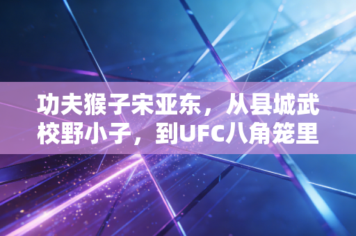 功夫猴子宋亚东，从县城武校野小子，到UFC八角笼里的中国利刃