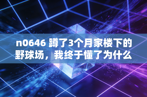 n0646 蹲了3个月家楼下的野球场，我终于懂了为什么普通人的体育热爱才是行业的根
