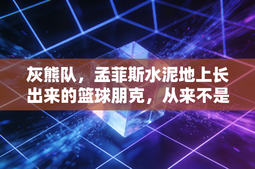 灰熊队，孟菲斯水泥地上长出来的篮球朋克，从来不是什么联盟宠儿