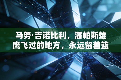 马努·吉诺比利，潘帕斯雄鹰飞过的地方，永远留着篮球最浪漫的模样