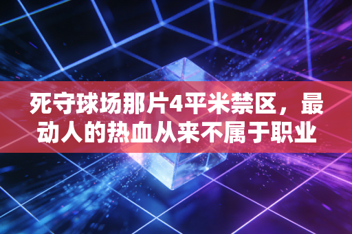 死守球场那片4平米禁区,最动人的热血从来不属于职业赛场 死守球场那片4平米禁区,最动人的热血从来不属于职业赛场