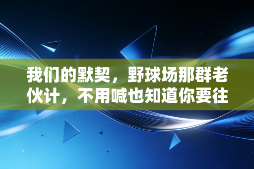 我们的默契，野球场那群老伙计，不用喊也知道你要往哪跑