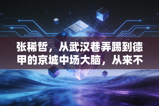 张稀哲，从武汉巷弄踢到德甲的京城中场大脑，从来不是什么软蛋天才