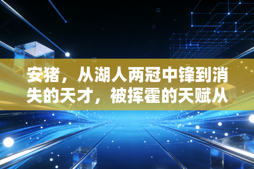 安猪，从湖人两冠中锋到消失的天才，被挥霍的天赋从来不会为任性买单