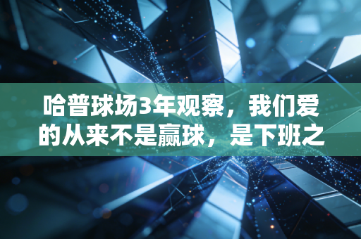 哈普球场3年观察，我们爱的从来不是赢球，是下班之后那两小时的人生逃单