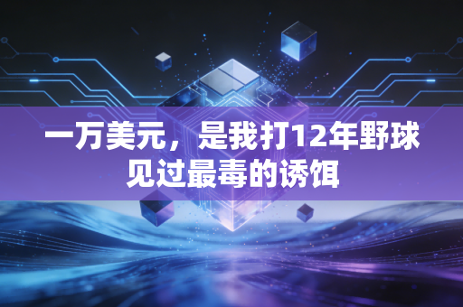 一万美元,是我打12年野球见过最毒的诱饵 一万美元,是我打12年野球见过最毒的诱饵