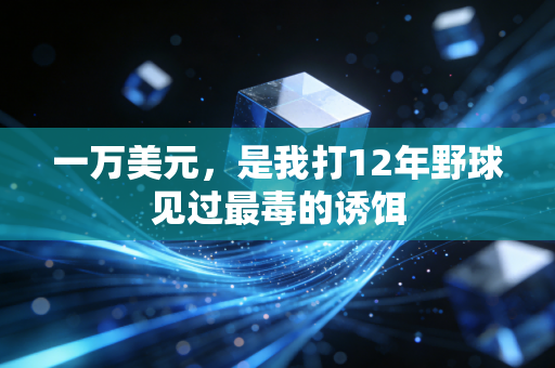 一万美元，是我打12年野球见过最毒的诱饵