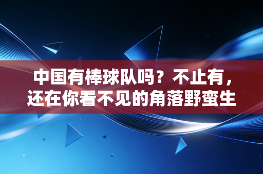 中国有棒球队吗?不止有,还在你看不见的角落野蛮生长了几十年 中国有棒球队吗?不止有,还在你看不见的角落野蛮生长了几十年