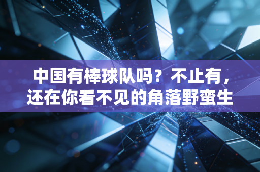 中国有棒球队吗？不止有，还在你看不见的角落野蛮生长了几十年