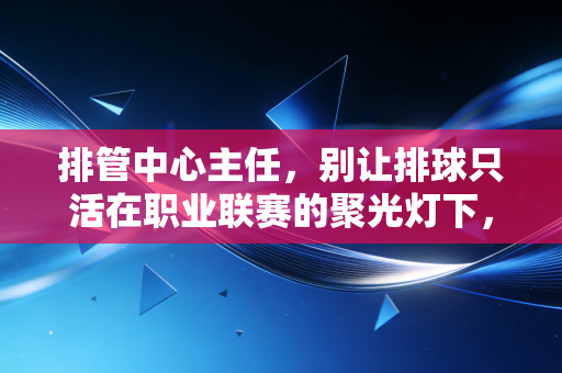 排管中心主任,别让排球只活在职业联赛的聚光灯下,民间场地上的热爱才是项目的根 排管中心主任,别让排球只活在职业联赛的聚光灯下,民间场地上的热爱才是项目的根