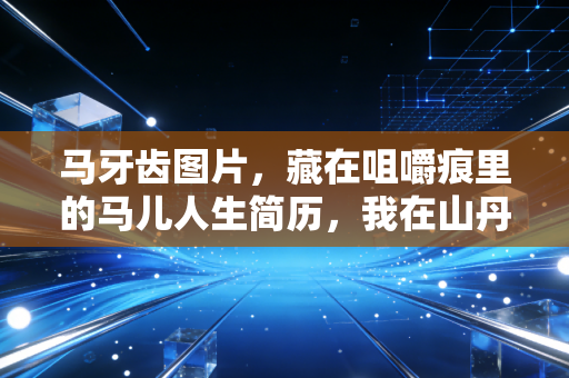 马牙齿图片,藏在咀嚼痕里的马儿人生简历,我在山丹马场3个月摸透的冷知识 马牙齿图片,藏在咀嚼痕里的马儿人生简历,我在山丹马场3个月摸透的冷知识