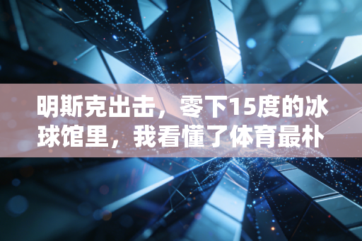 明斯克出击,零下15度的冰球馆里,我看懂了体育最朴素的力量 明斯克出击,零下15度的冰球馆里,我看懂了体育最朴素的力量