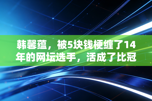 韩馨蕴,被5块钱梗缠了14年的网坛选手,活成了比冠军更鲜活的存在 韩馨蕴,被5块钱梗缠了14年的网坛选手,活成了比冠军更鲜活的存在