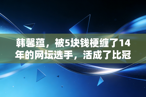 韩馨蕴，被5块钱梗缠了14年的网坛选手，活成了比冠军更鲜活的存在