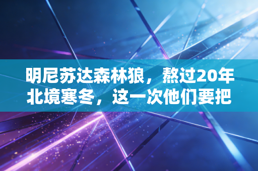 明尼苏达森林狼,熬过20年北境寒冬,这一次他们要把哈士奇的标签撕个粉碎 明尼苏达森林狼,熬过20年北境寒冬,这一次他们要把哈士奇的标签撕个粉碎