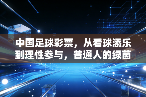 中国足球彩票,从看球添乐到理性参与,普通人的绿茵场外快乐指南 中国足球彩票,从看球添乐到理性参与,普通人的绿茵场外快乐指南
