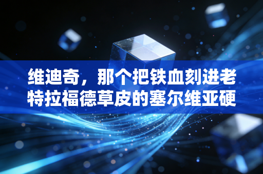 维迪奇，那个把铁血刻进老特拉福德草皮的塞尔维亚硬汉