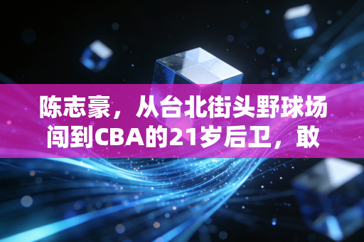 陈志豪,从台北街头野球场闯到CBA的21岁后卫,敢冲的人永远有路走 陈志豪,从台北街头野球场闯到CBA的21岁后卫,敢冲的人永远有路走