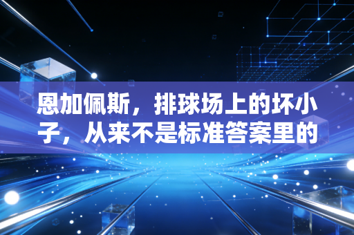 恩加佩斯,排球场上的坏小子,从来不是标准答案里的冠军 恩加佩斯,排球场上的坏小子,从来不是标准答案里的冠军