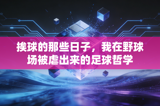 挨球的那些日子,我在野球场被虐出来的足球哲学 挨球的那些日子,我在野球场被虐出来的足球哲学