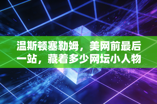 温斯顿塞勒姆，美网前最后一站，藏着多少网坛小人物的逆袭暗线