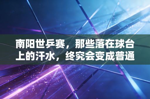 南阳世乒赛,那些落在球台上的汗水,终究会变成普通人手里的球拍 南阳世乒赛,那些落在球台上的汗水,终究会变成普通人手里的球拍
