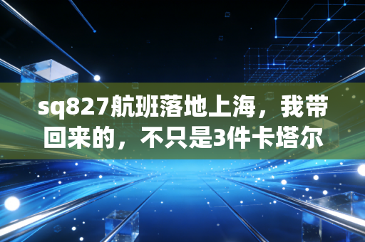 sq827航班落地上海,我带回来的,不只是3件卡塔尔世界杯的周边 sq827航班落地上海,我带回来的,不只是3件卡塔尔世界杯的周边