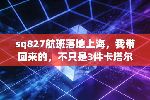 sq827航班落地上海，我带回来的，不只是3件卡塔尔世界杯的周边