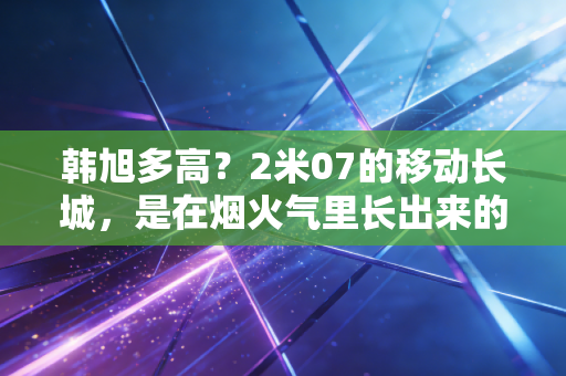 韩旭多高?2米07的移动长城,是在烟火气里长出来的篮球巨星 韩旭多高?2米07的移动长城,是在烟火气里长出来的篮球巨星