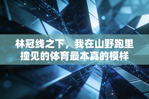 林冠线之下，我在山野跑里撞见的体育最本真的模样
