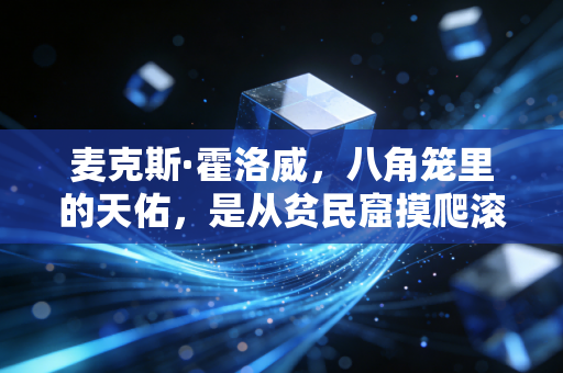 麦克斯·霍洛威，八角笼里的天佑，是从贫民窟摸爬滚打出来的普通人英雄