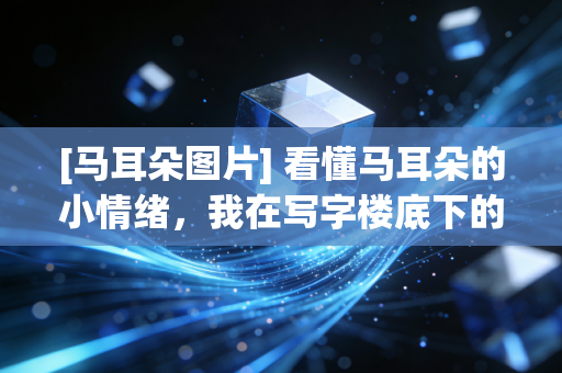 [马耳朵图片] 看懂马耳朵的小情绪，我在写字楼底下的马术馆找到久违的松弛感
