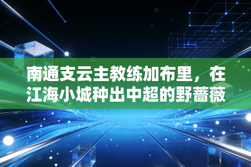 南通支云主教练加布里,在江海小城种出中超的野蔷薇 南通支云主教练加布里,在江海小城种出中超的野蔷薇