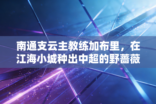 南通支云主教练加布里，在江海小城种出中超的野蔷薇