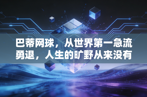 巴蒂网球,从世界第一急流勇退,人生的旷野从来没有标准答案 巴蒂网球,从世界第一急流勇退,人生的旷野从来没有标准答案