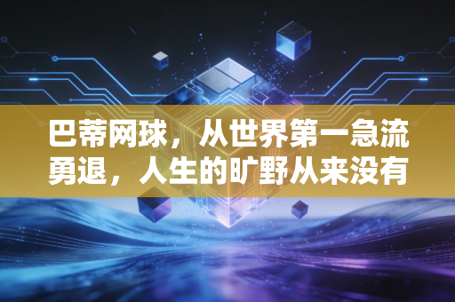 巴蒂网球，从世界第一急流勇退，人生的旷野从来没有标准答案