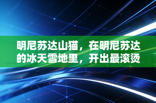 明尼苏达山猫,在明尼苏达的冰天雪地里,开出最滚烫的女篮之花 明尼苏达山猫,在明尼苏达的冰天雪地里,开出最滚烫的女篮之花