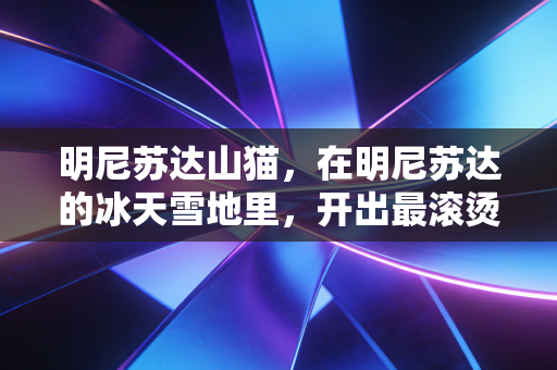 明尼苏达山猫，在明尼苏达的冰天雪地里，开出最滚烫的女篮之花